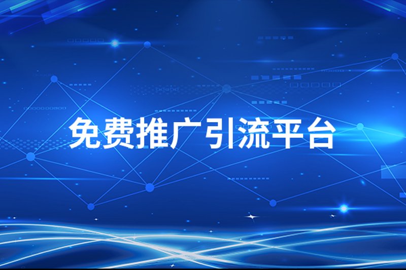 网站优化：构建高效信息传递桥梁